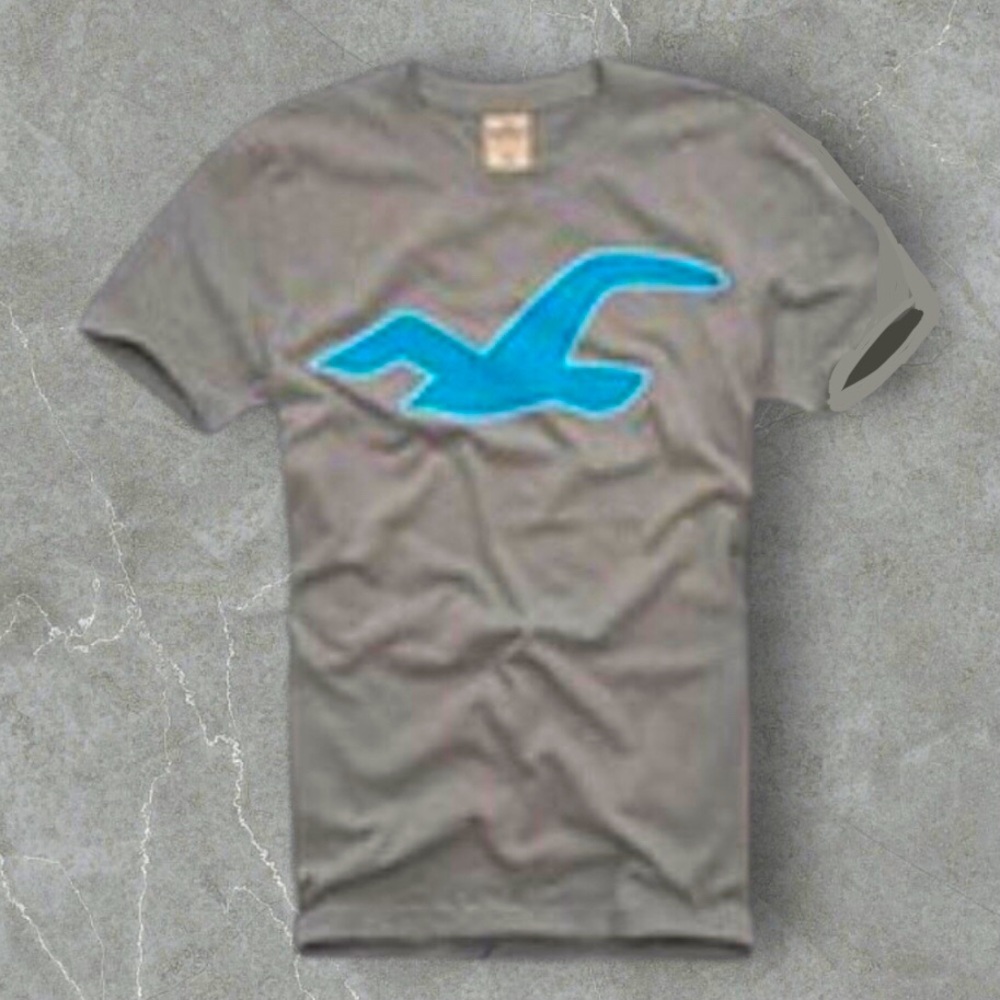 Hollister Gray T-Shirt with Blue Logo Cotton